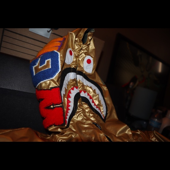 Bape hoodie - Picture 1 of 8